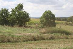 Enduro Opařany 30.08.2008 (191)